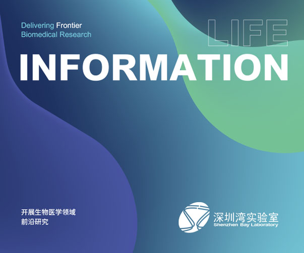 辦公用紙logo設計